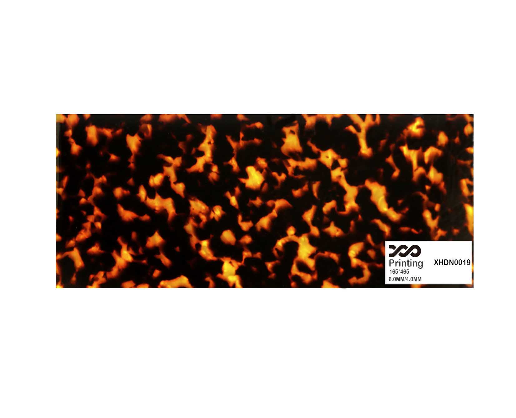 XHDN0019